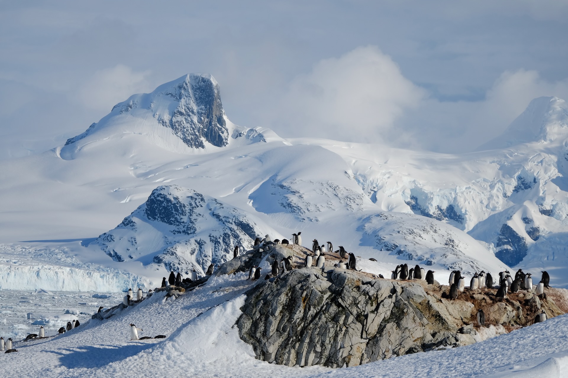 Antarctis Landscape with penguins on a rock
