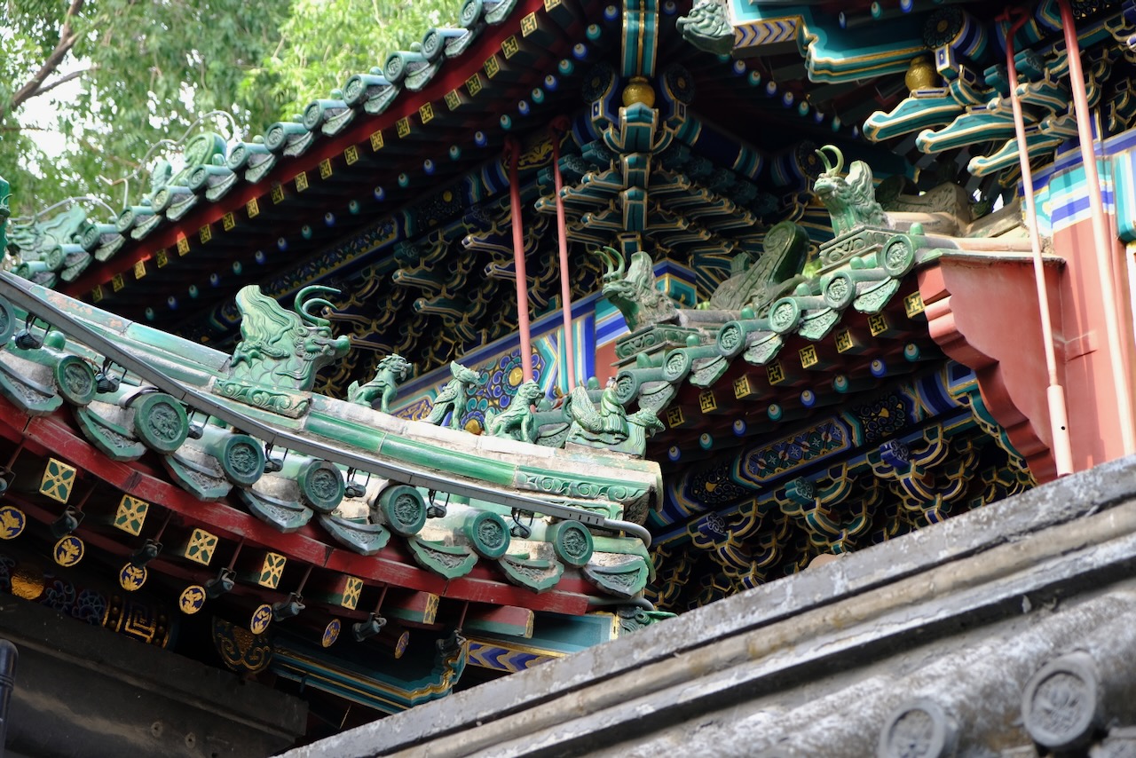 Dense bamboo grove with slender green stalks